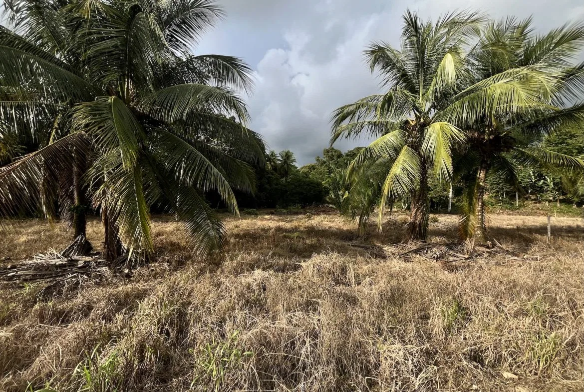 BUILDING PROPERTY WITH PUBLIC ROAD IN ROAD VIEWS, IN LA COLONIA – 14.2 ACRES, photo 18