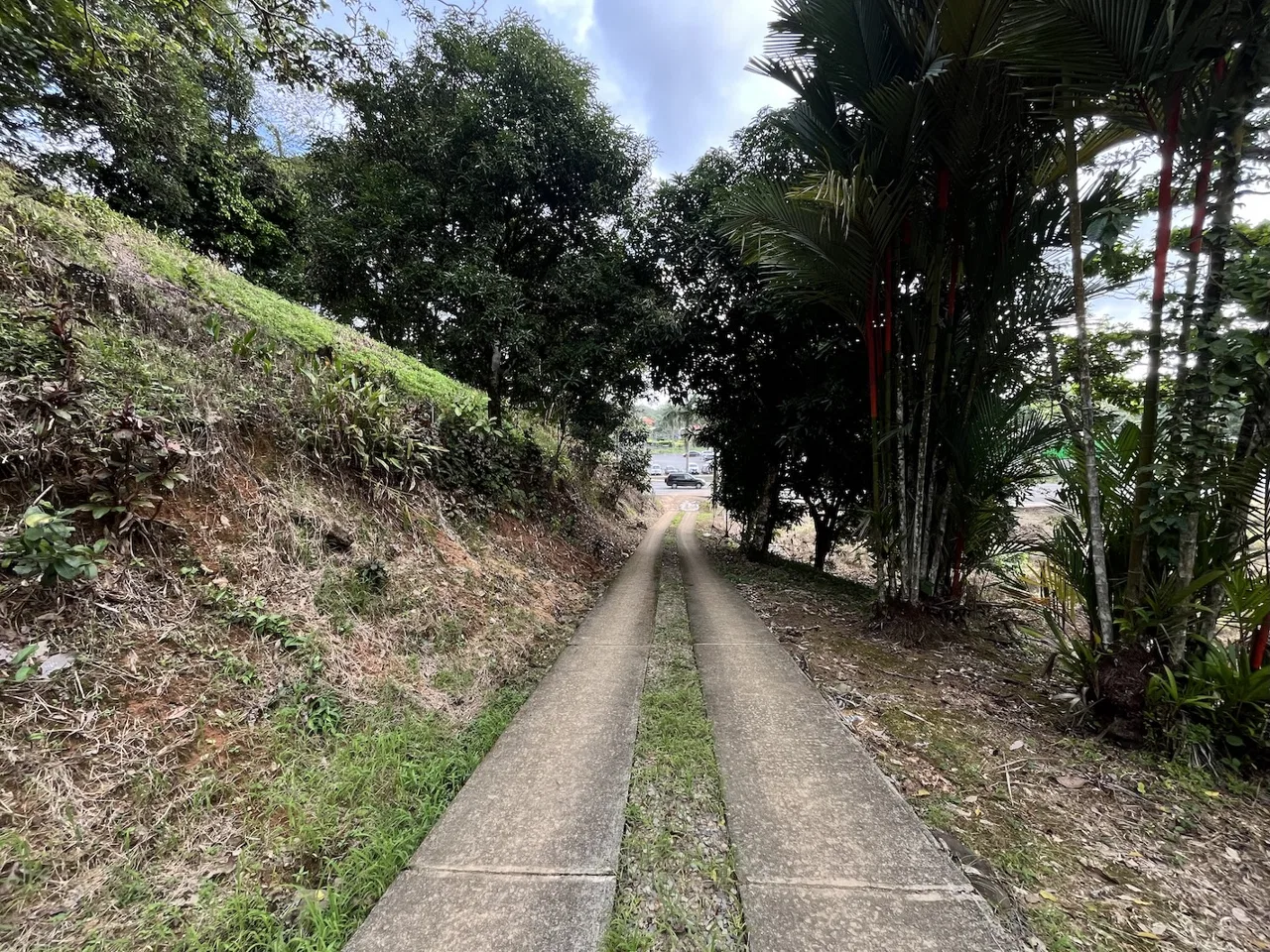 BUILDING PROPERTY WITH PUBLIC ROAD IN ROAD VIEWS, IN LA COLONIA – 14.2 ACRES, photo 19