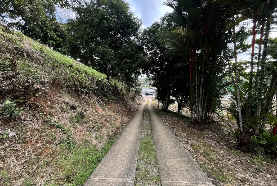 BUILDING PROPERTY WITH PUBLIC ROAD IN ROAD VIEWS, IN LA COLONIA – 14.2 ACRES, photo 20
