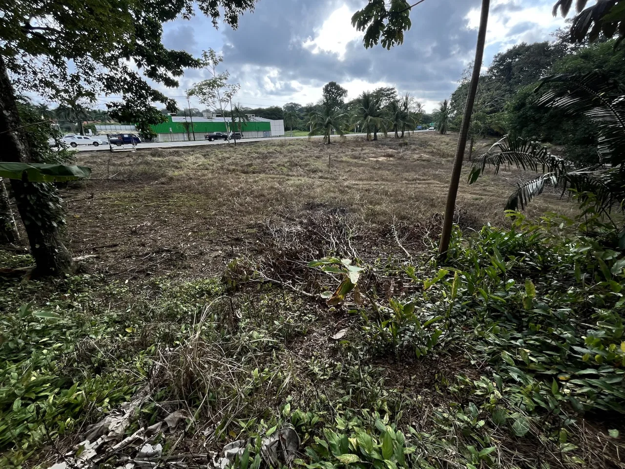 BUILDING PROPERTY WITH PUBLIC ROAD IN ROAD VIEWS, IN LA COLONIA – 14.2 ACRES, photo 21