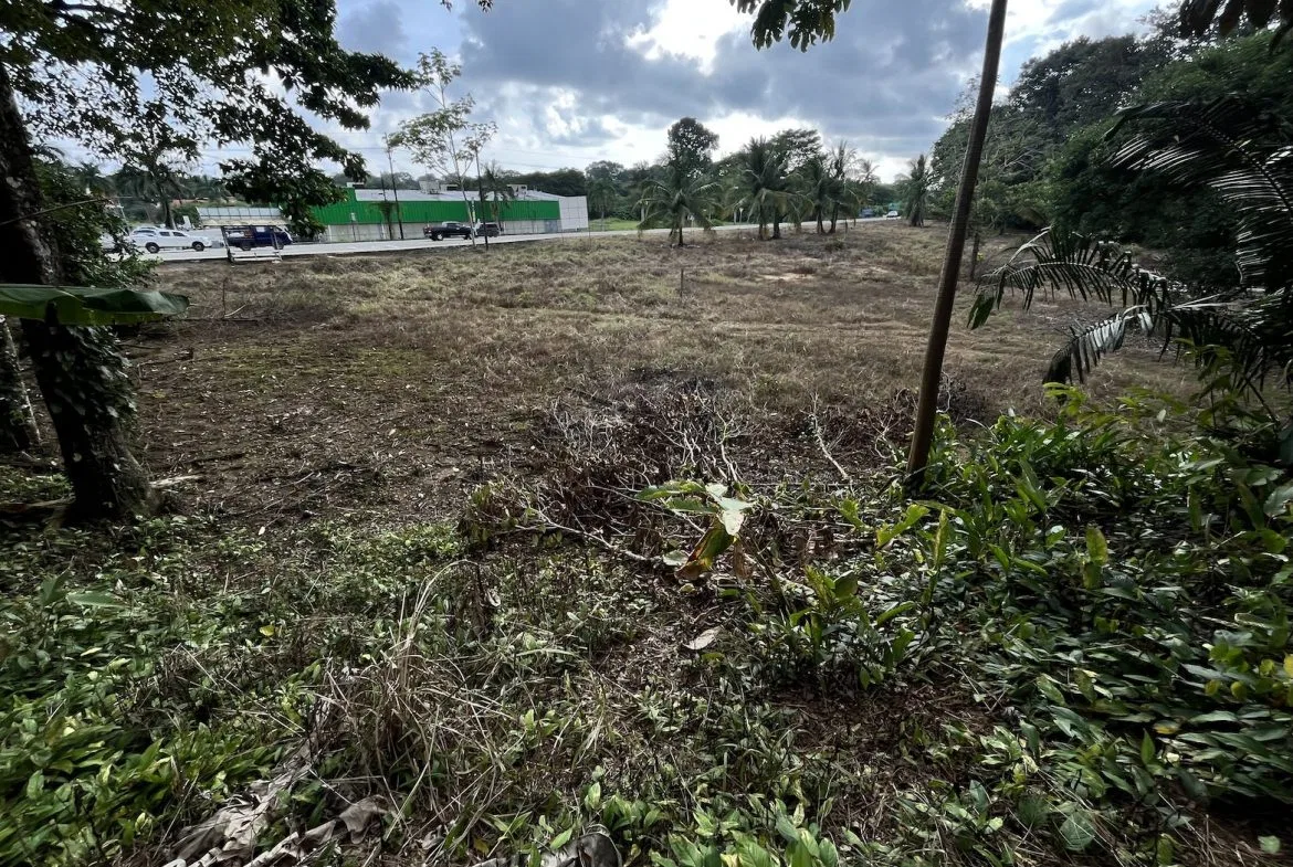BUILDING PROPERTY WITH PUBLIC ROAD IN ROAD VIEWS, IN LA COLONIA – 14.2 ACRES, photo 22