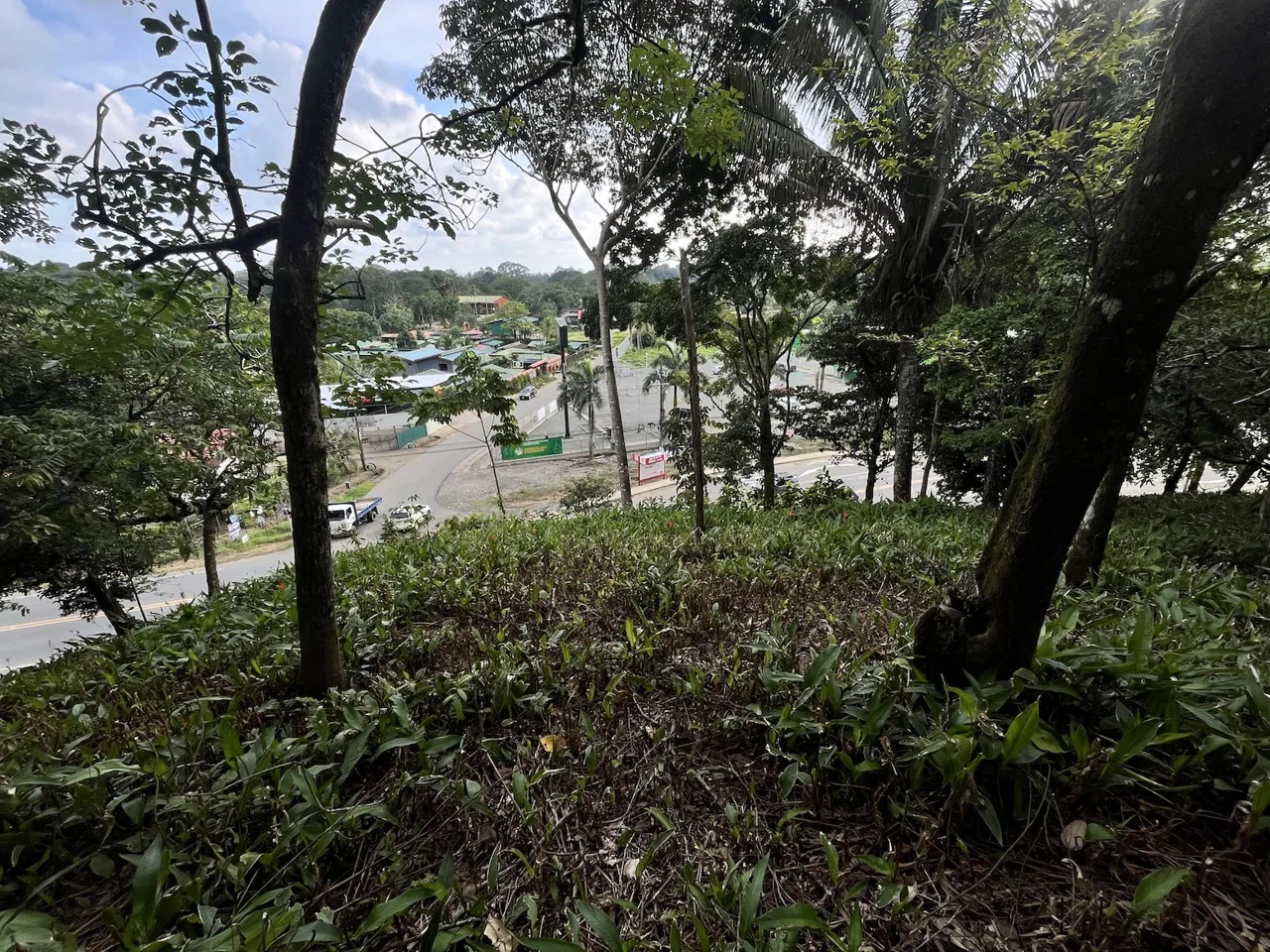 BUILDING PROPERTY WITH PUBLIC ROAD IN ROAD VIEWS, IN LA COLONIA – 14.2 ACRES, photo 23