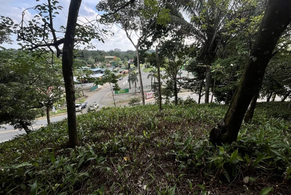 BUILDING PROPERTY WITH PUBLIC ROAD IN ROAD VIEWS, IN LA COLONIA – 14.2 ACRES, photo 24