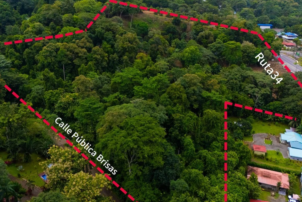 BUILDING PROPERTY WITH PUBLIC ROAD IN ROAD VIEWS, IN LA COLONIA – 14.2 ACRES, photo 4