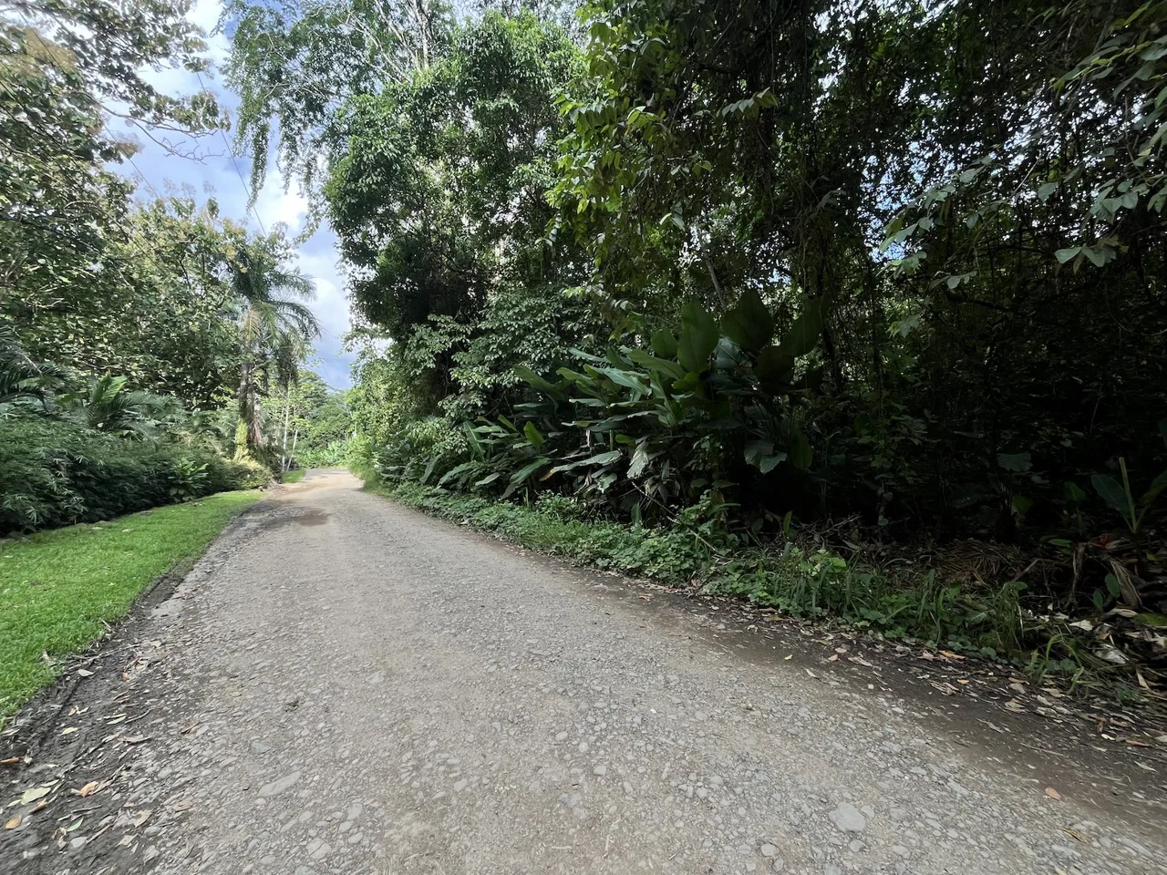 BUILDING PROPERTY WITH PUBLIC ROAD IN ROAD VIEWS, IN LA COLONIA – 14.2 ACRES, photo 9