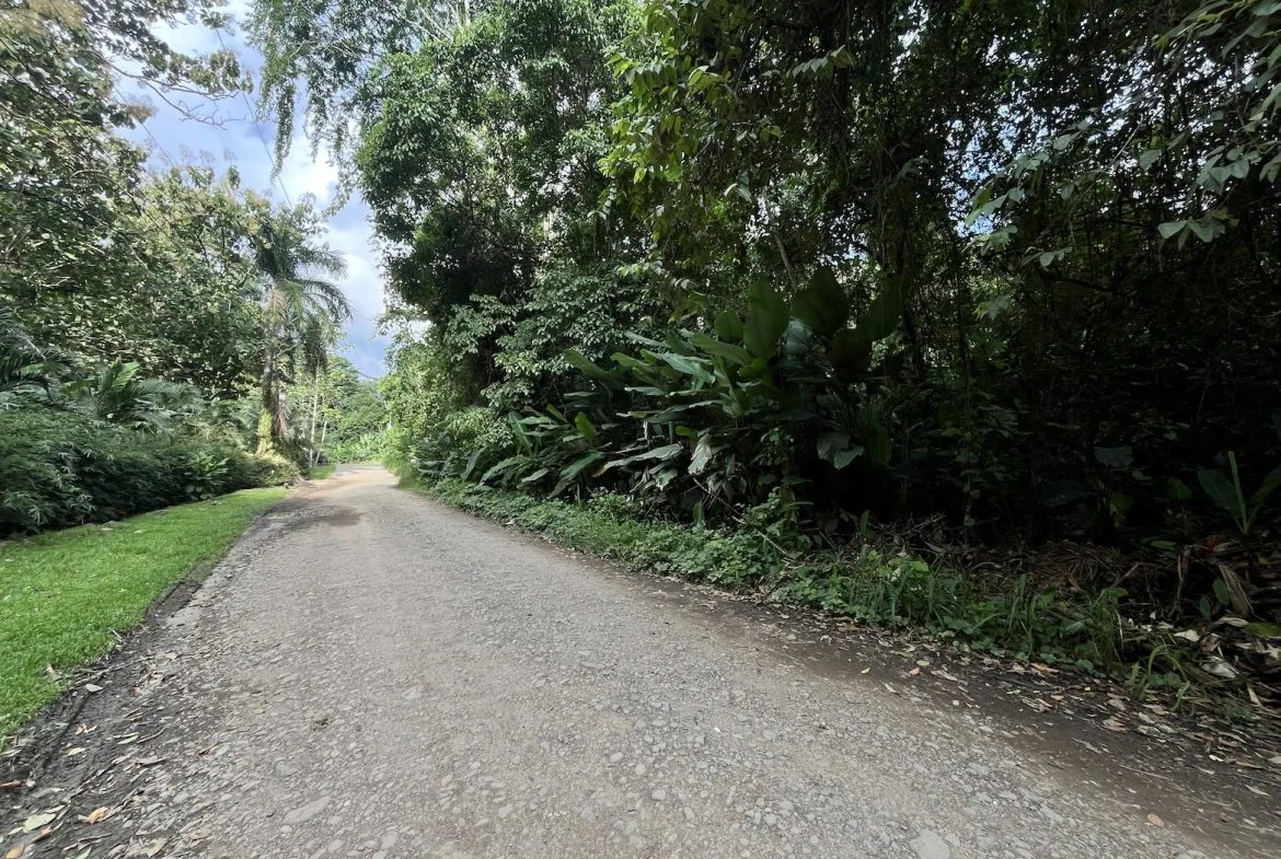 BUILDING PROPERTY WITH PUBLIC ROAD IN ROAD VIEWS, IN LA COLONIA – 14.2 ACRES, photo 10