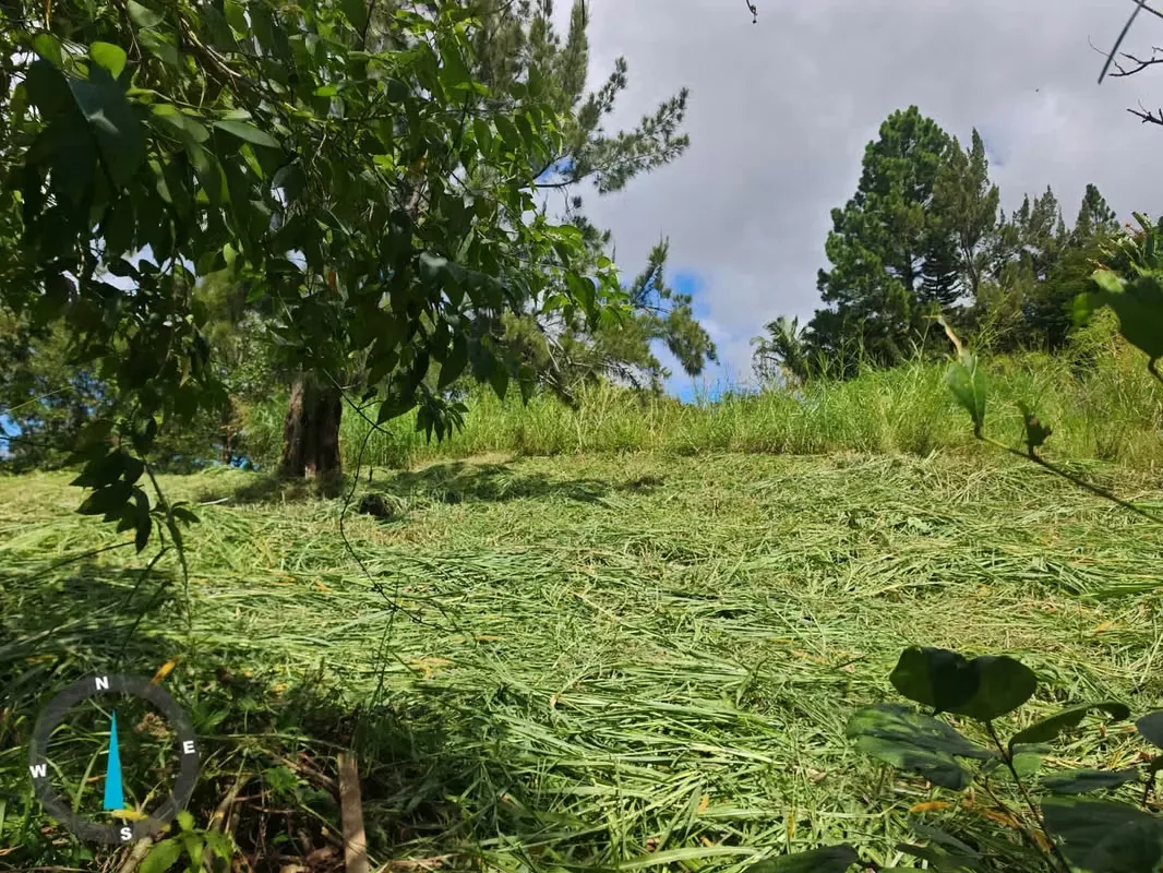 Land for Sale – Pinares de Curridabat, photo 2