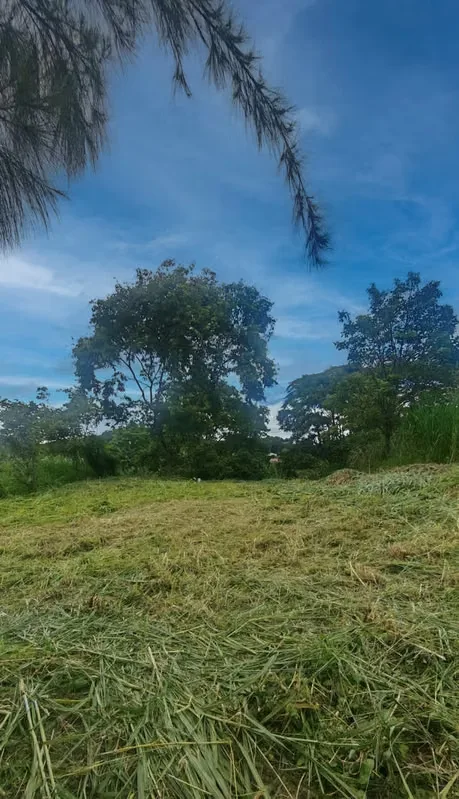 Land for Sale – Pinares de Curridabat, photo 11