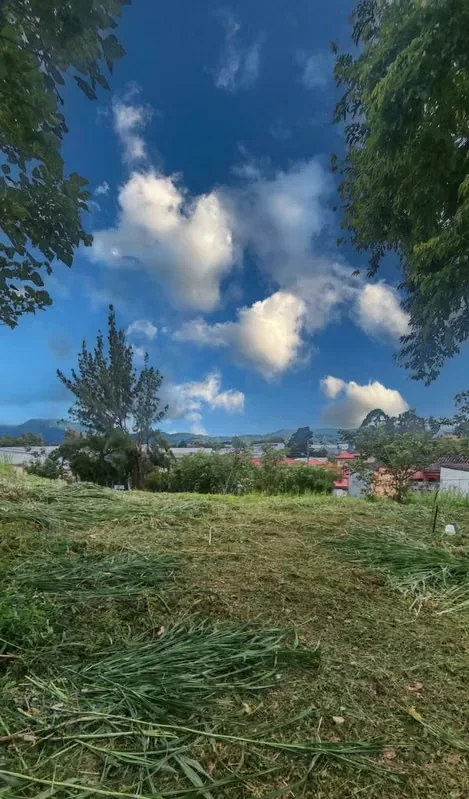 Land for Sale – Pinares de Curridabat, photo 12