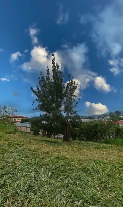 Land for Sale – Pinares de Curridabat, photo 13