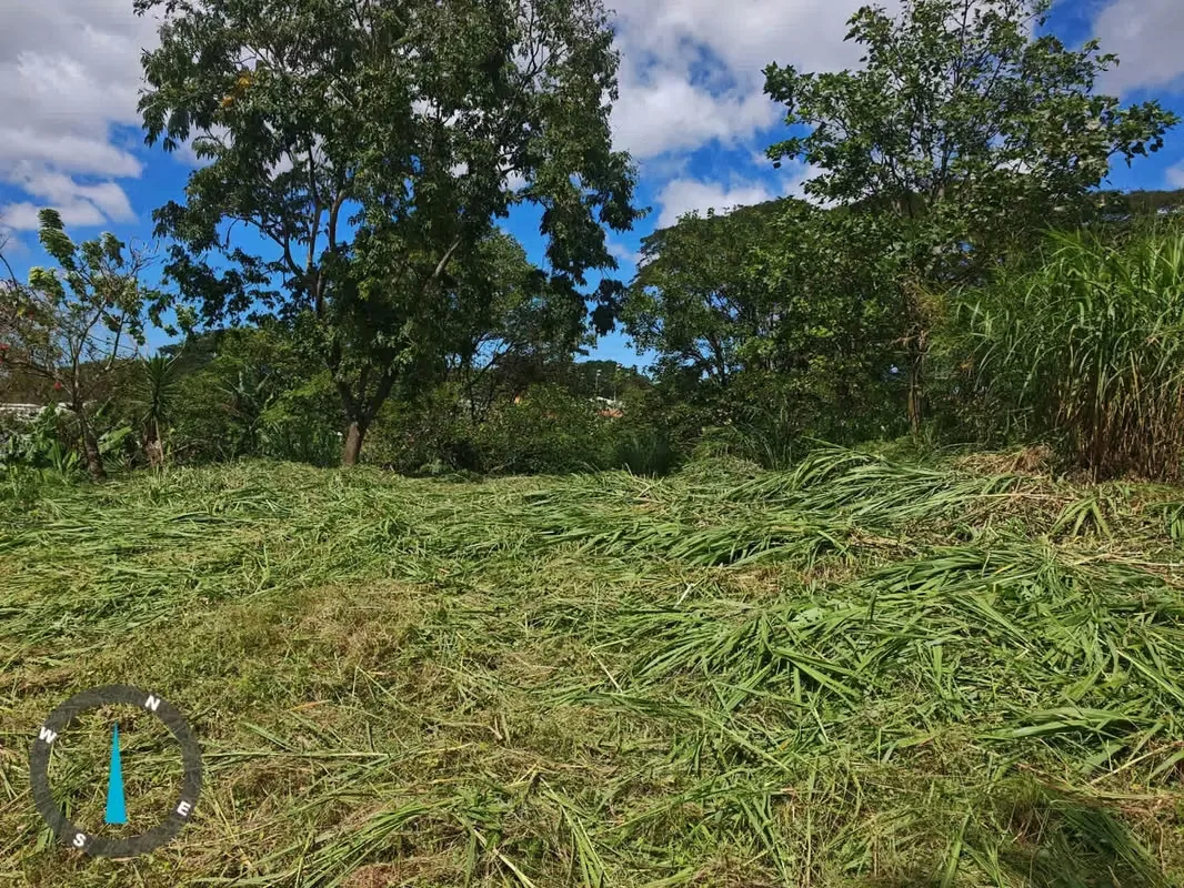 Land for Sale – Pinares de Curridabat, photo 4