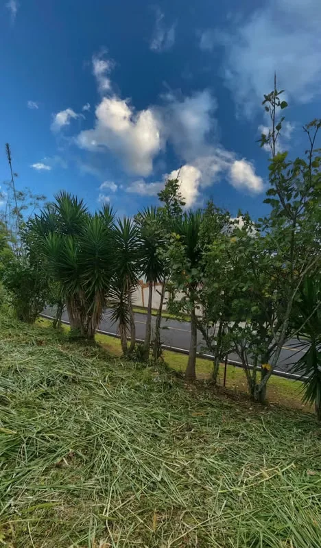 Land for Sale – Pinares de Curridabat, photo 7