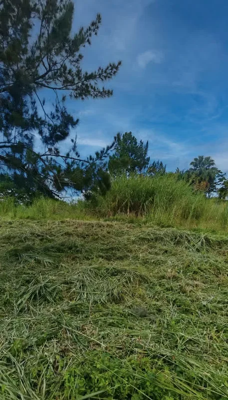 Land for Sale – Pinares de Curridabat, photo 8