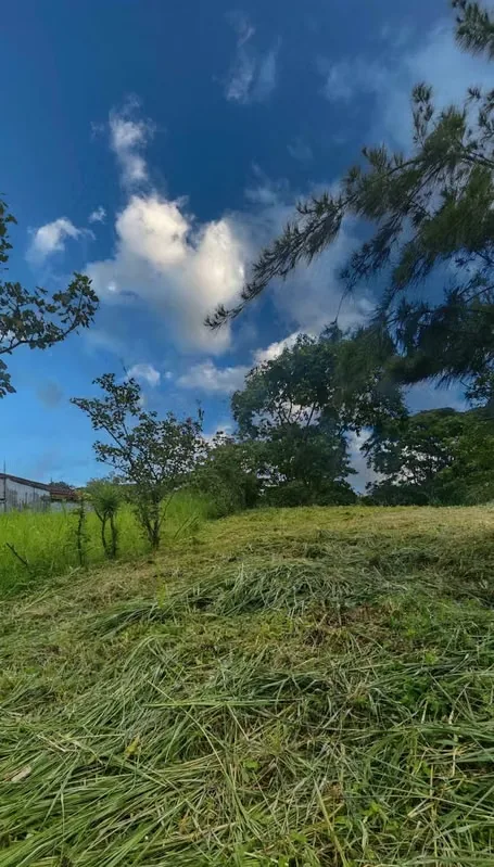 Land for Sale – Pinares de Curridabat, photo 9