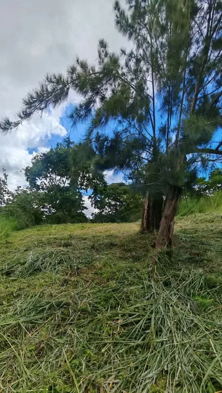 Land for Sale – Pinares de Curridabat, photo 10