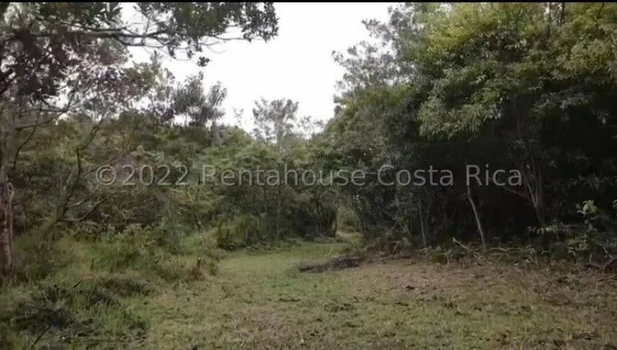 Venta de terreno 15.6 Hectáreas San Jerónimo Moravia - Venta en San Jerónimo, photo 4