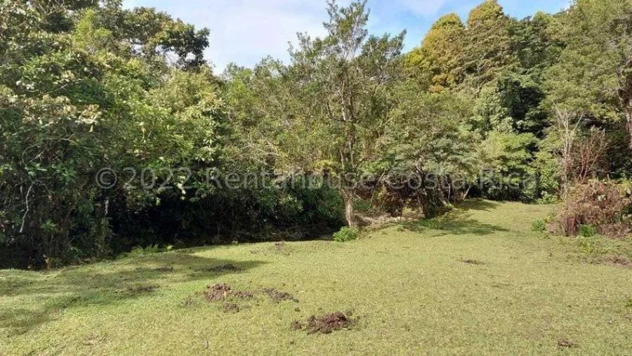 Venta de terreno 15.6 Hectáreas San Jerónimo Moravia - Venta en San Jerónimo, photo 7