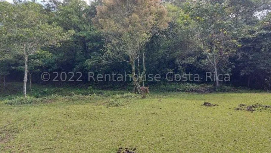 Venta de terreno 15.6 Hectáreas San Jerónimo Moravia - Venta en San Jerónimo, photo 8