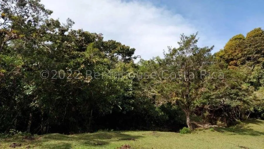 Venta de terreno 15.6 Hectáreas San Jerónimo Moravia - Venta en San Jerónimo, photo 9