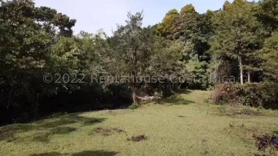 Venta de terreno 15.6 Hectáreas San Jerónimo Moravia - Venta en San Jerónimo, photo 10