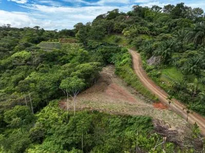 Terreno listo para construir con vista al océano y a la montaña en la codiciada Calle Perezoso., photo 4