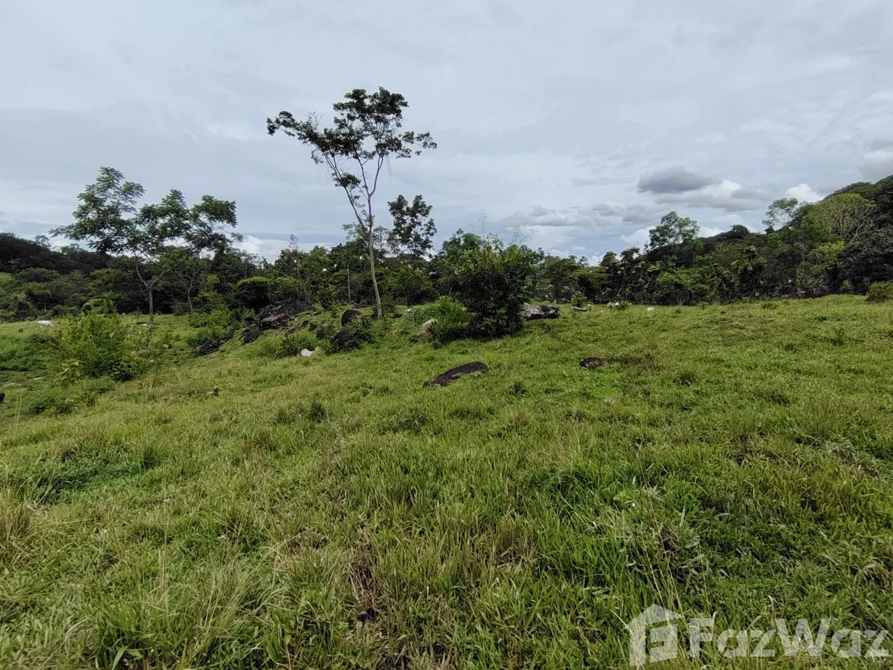 Land for Sale in Perez Zeledon, San Jose for $280,000, photo 11
