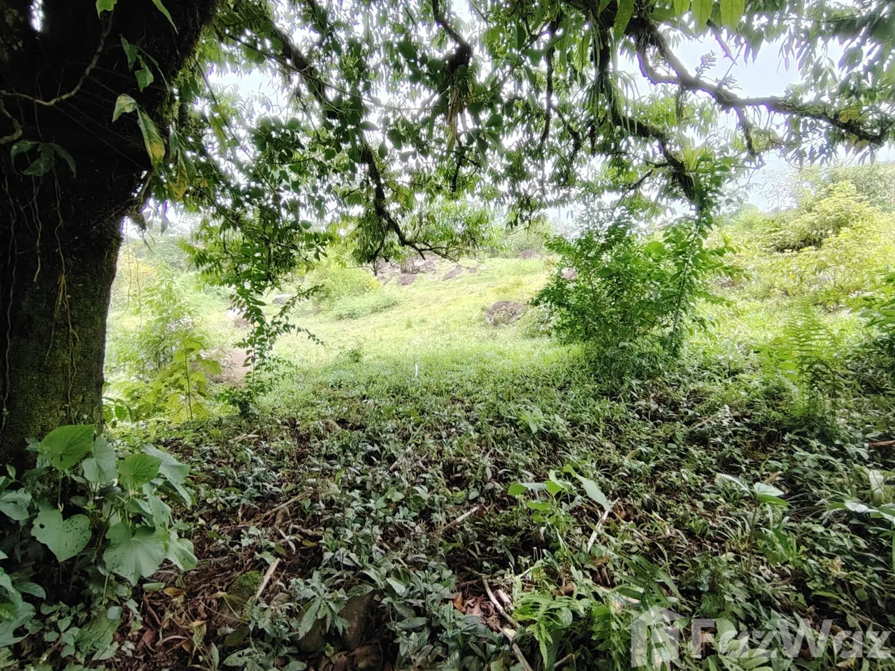 Land for Sale in Perez Zeledon, San Jose for $280,000, photo 13