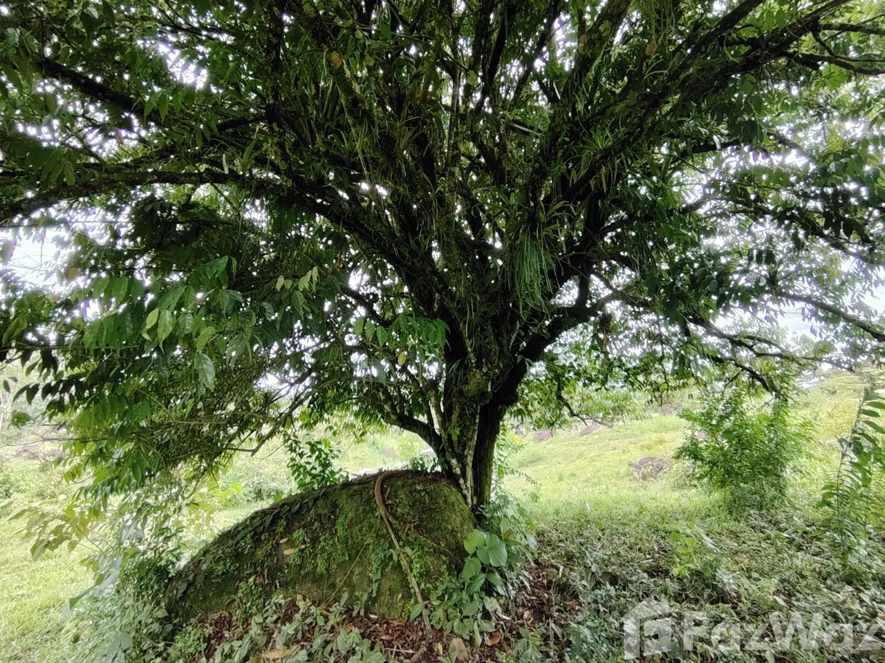 Land for Sale in Perez Zeledon, San Jose for $280,000, photo 14