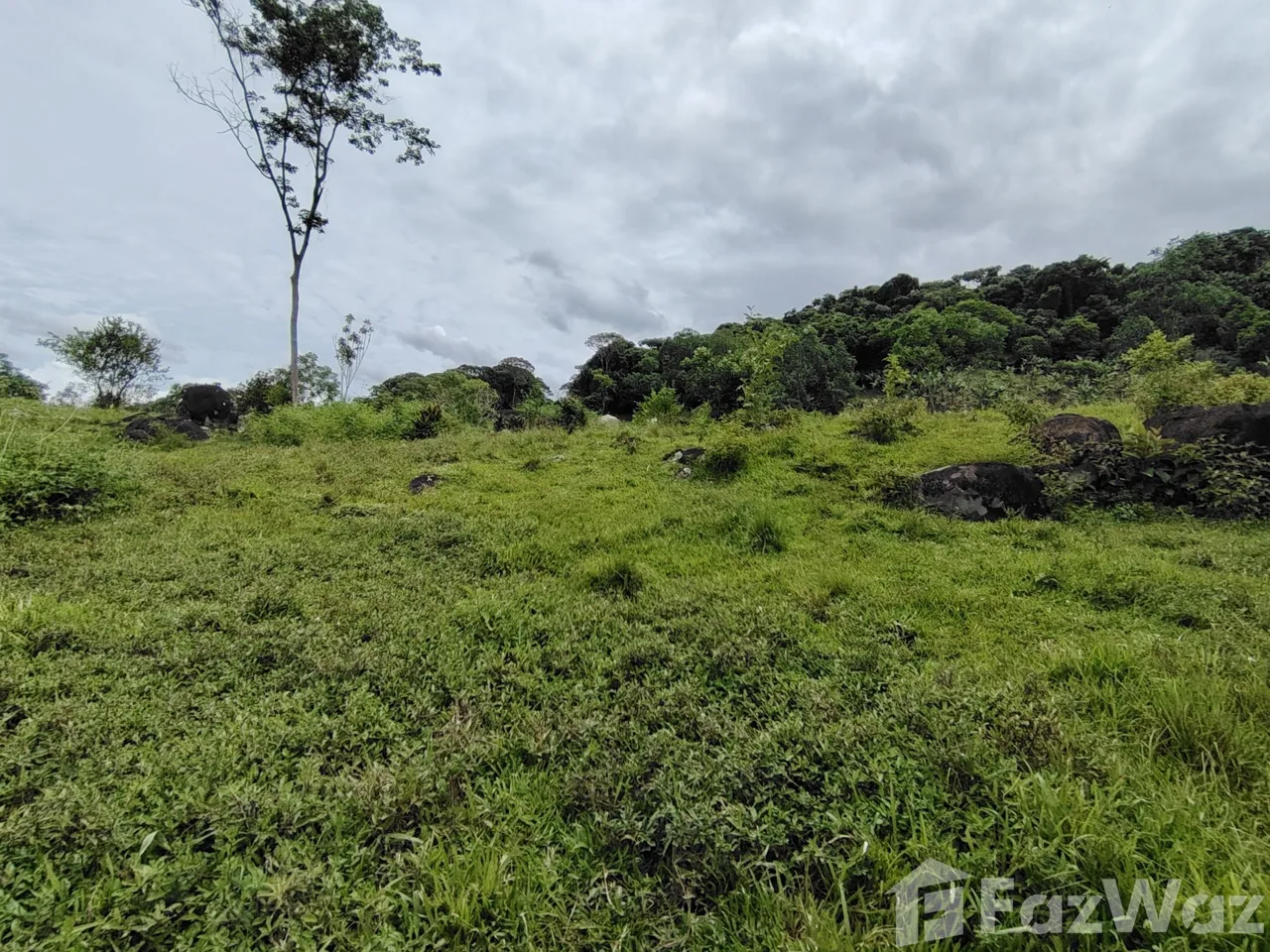 Land for Sale in Perez Zeledon, San Jose for $280,000, photo 6