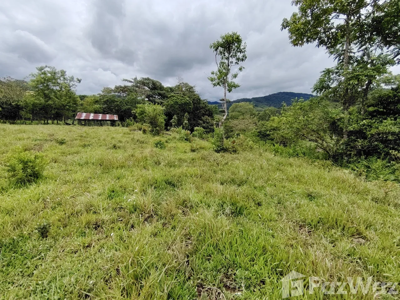 Land for Sale in Perez Zeledon, San Jose for $280,000, photo 7