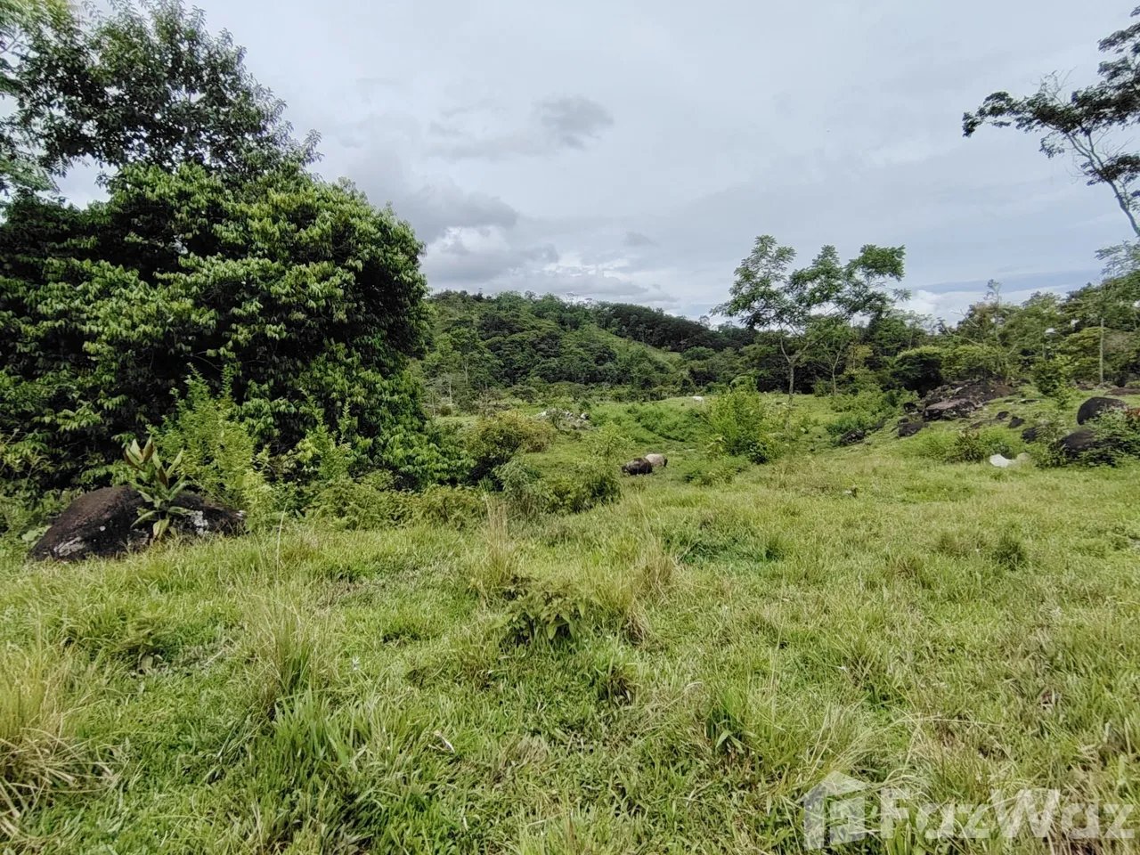 Land for Sale in Perez Zeledon, San Jose for $280,000, photo 8