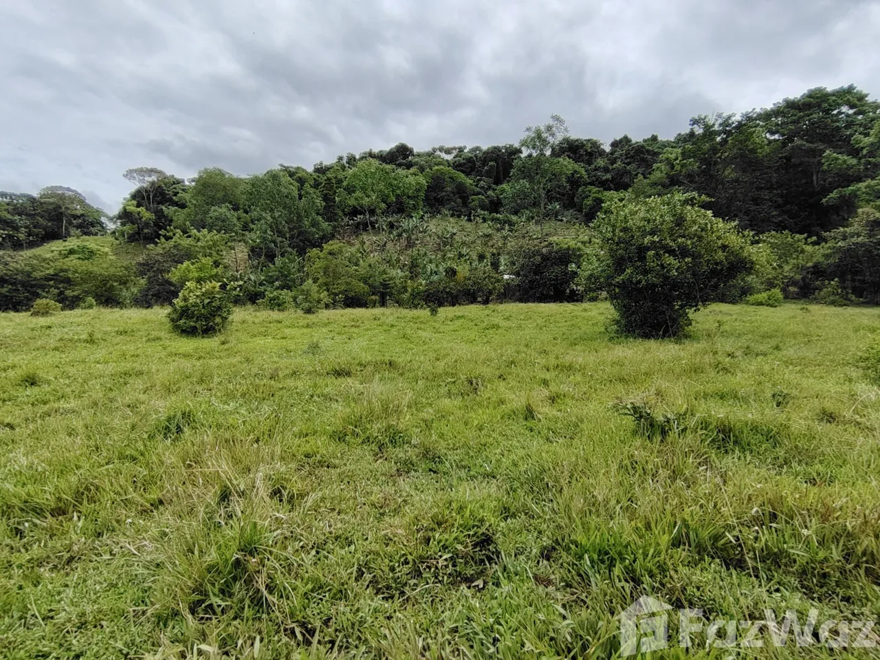 Land for Sale in Perez Zeledon, San Jose for $280,000, photo 9