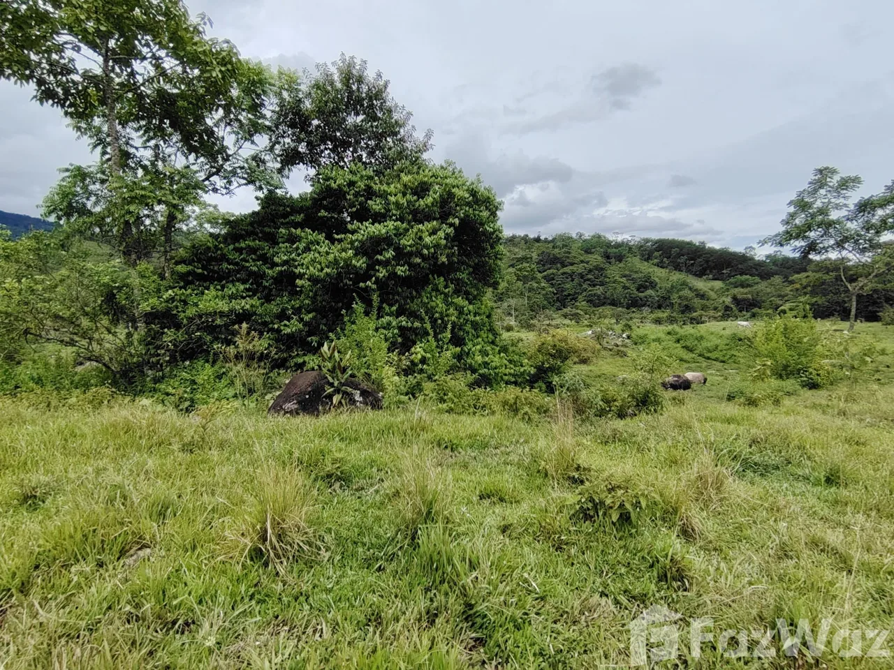 Land for Sale in Perez Zeledon, San Jose for $280,000, photo 10