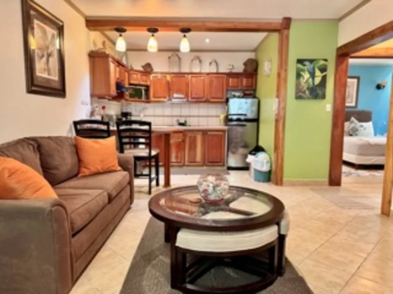 2 Bed Condo For Sale in Nosara, photo 4