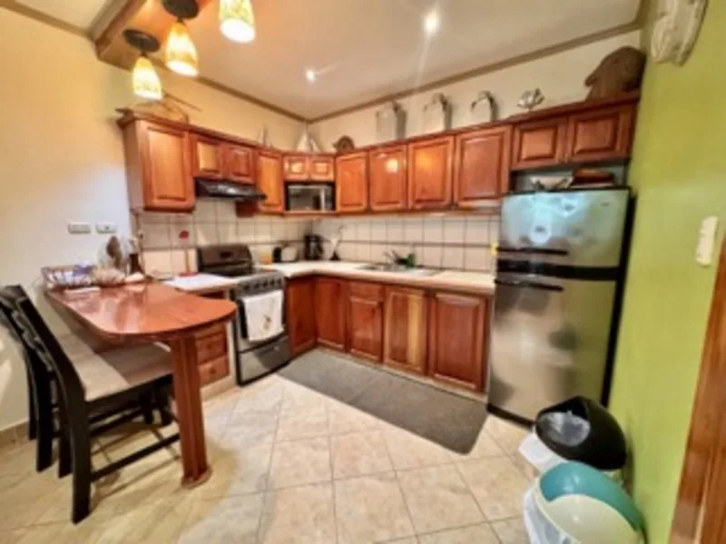 2 Bed Condo For Sale in Nosara, photo 6