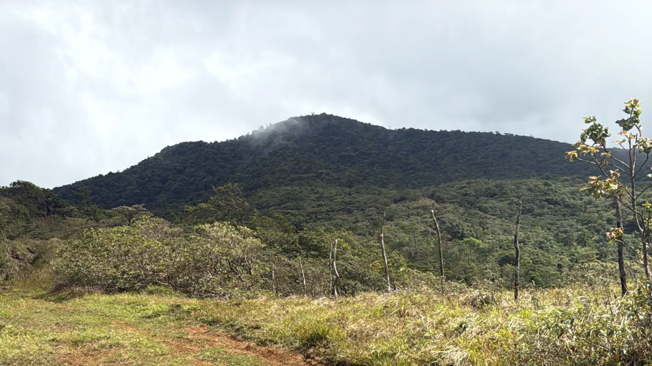 Preserve land in protected area Costa Rica, photo 2