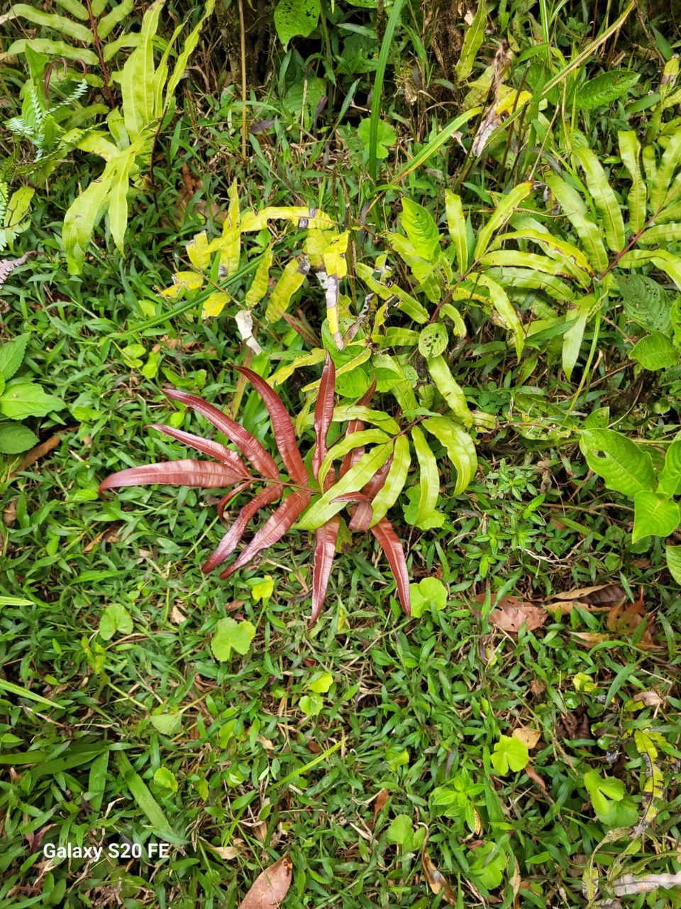 Preserve land in protected area Costa Rica, photo 12