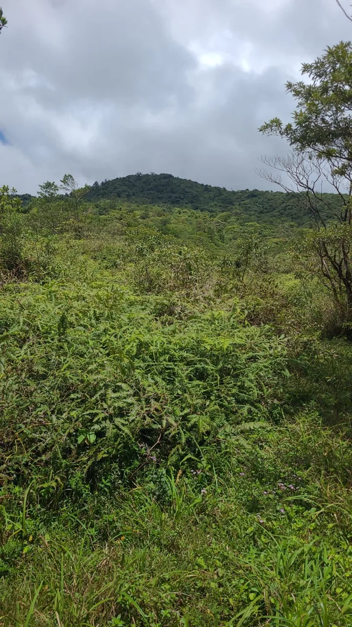Preserve land in protected area Costa Rica, photo 4
