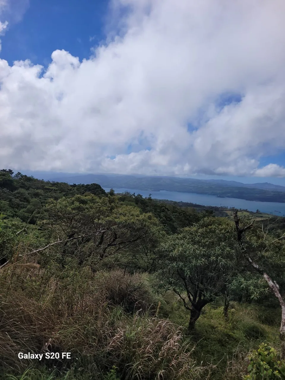 Preserve land in protected area Costa Rica, photo 5