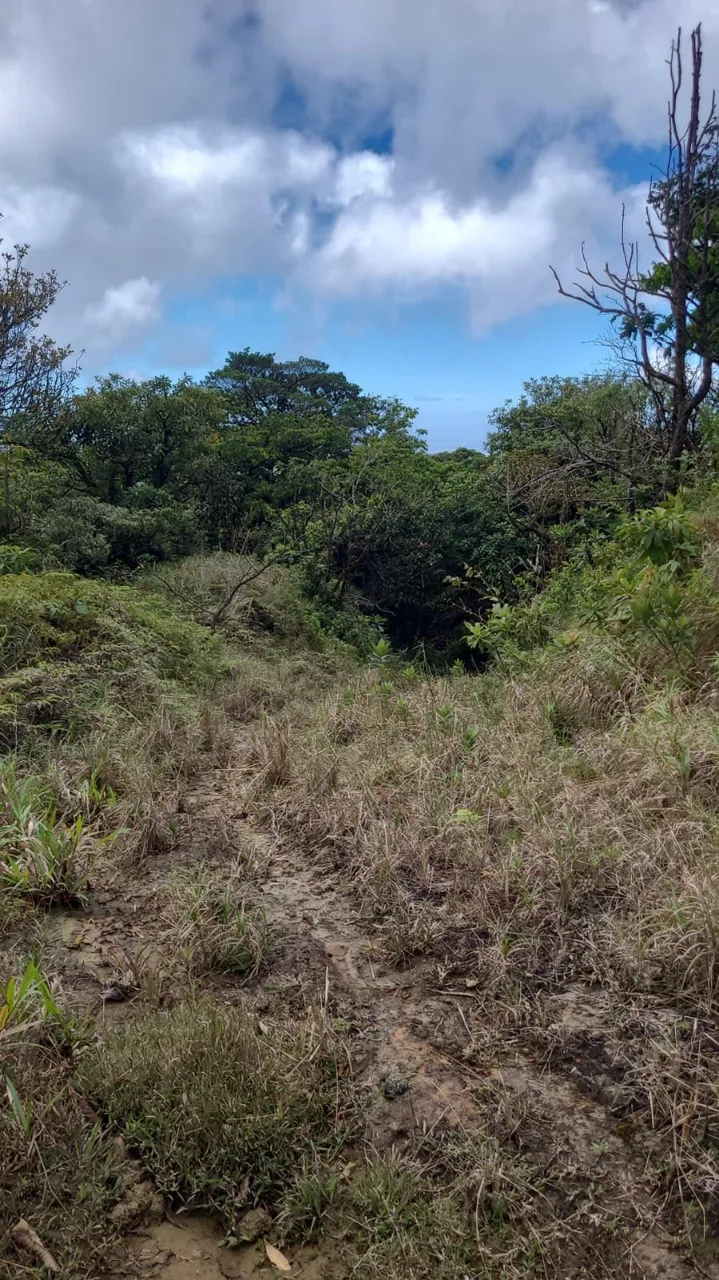 Preserve land in protected area Costa Rica, photo 6