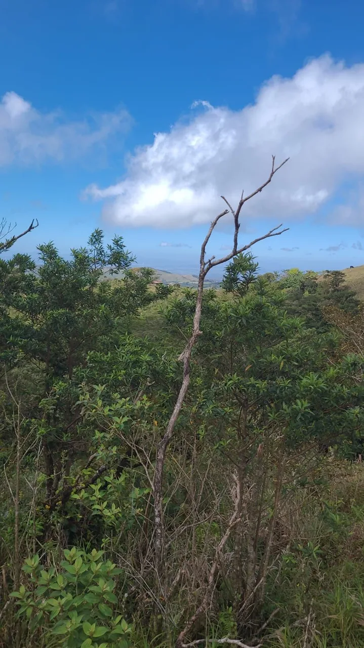Preserve land in protected area Costa Rica, photo 7
