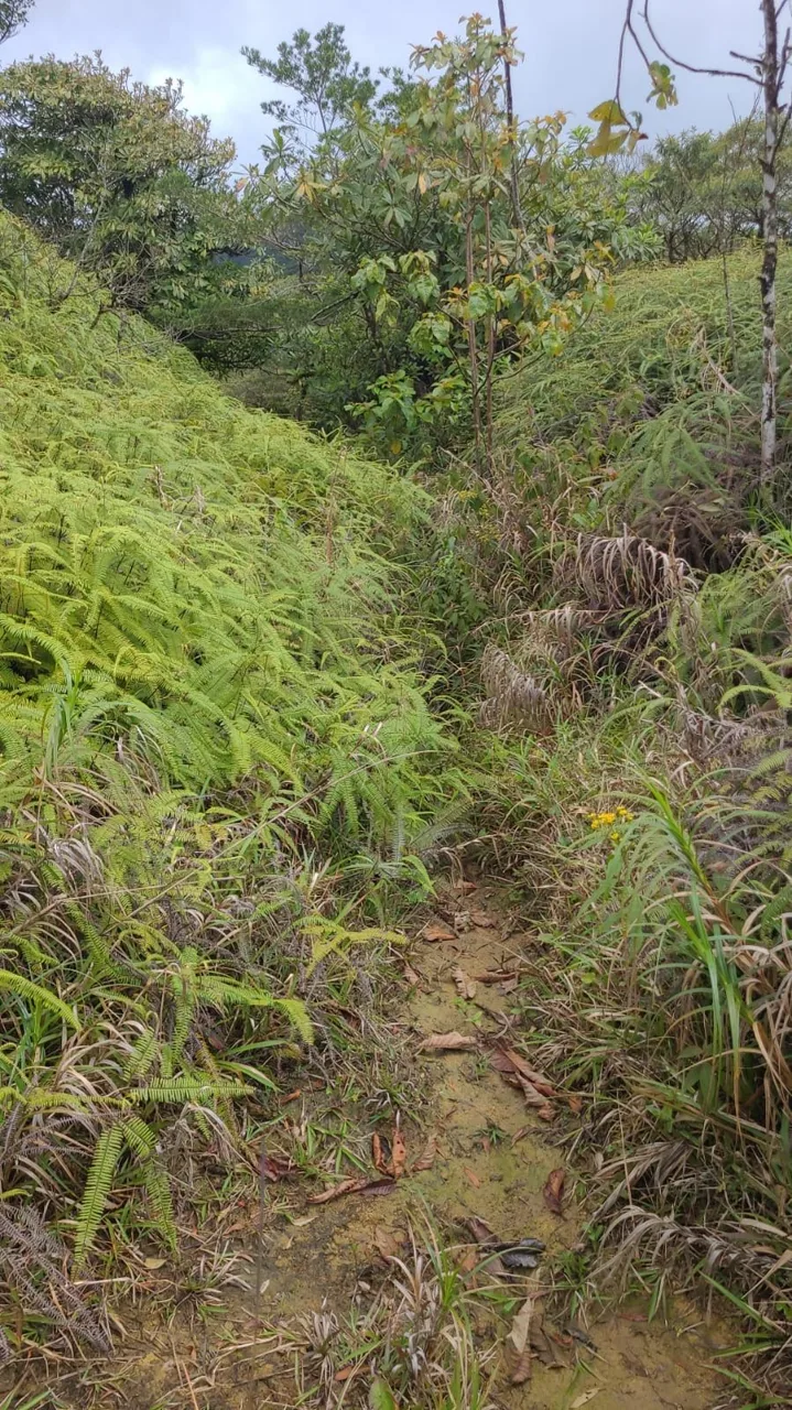 Preserve land in protected area Costa Rica, photo 9