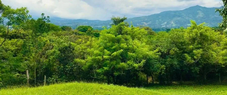 Venta de hermoso terreno en Ciudad Colón. - Venta en Mora