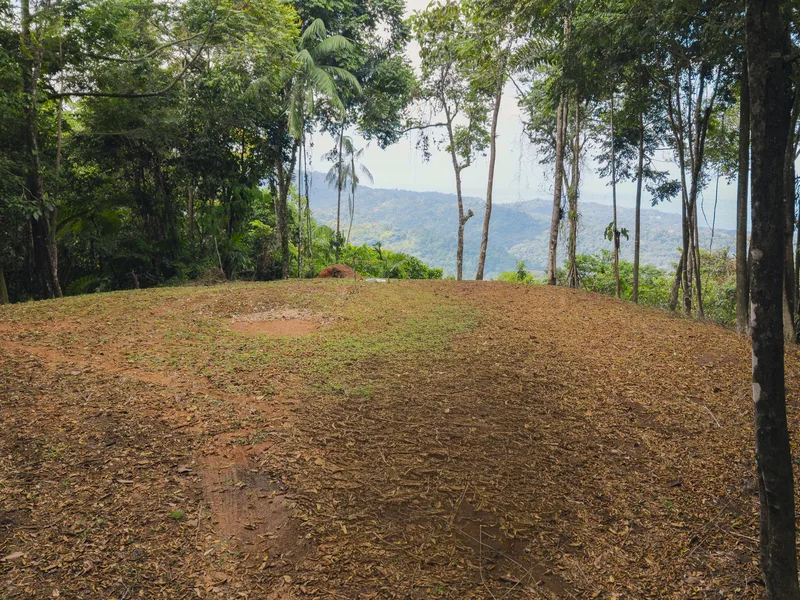 Land For Sale in Uvita, photo 2