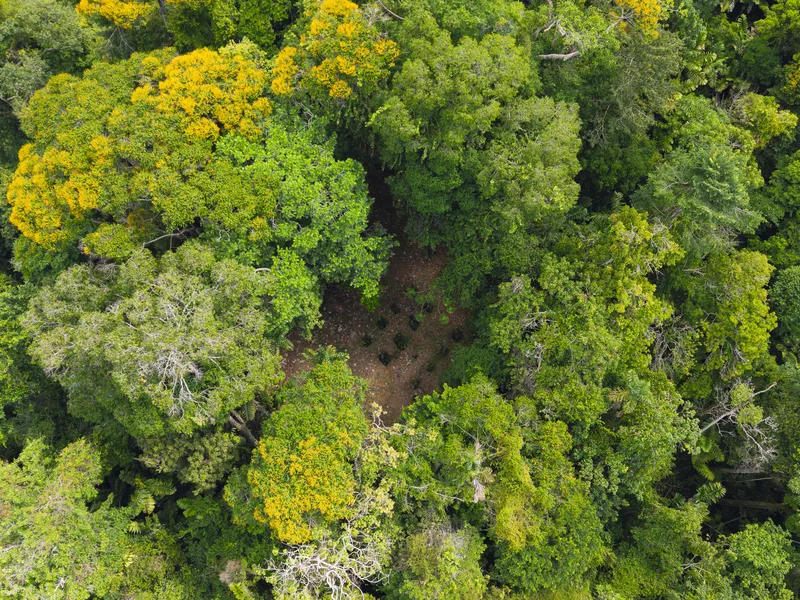Land For Sale in Uvita, photo 12