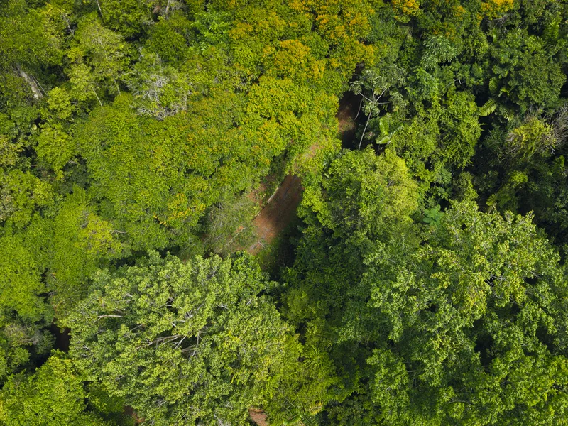 Land For Sale in Uvita, photo 13