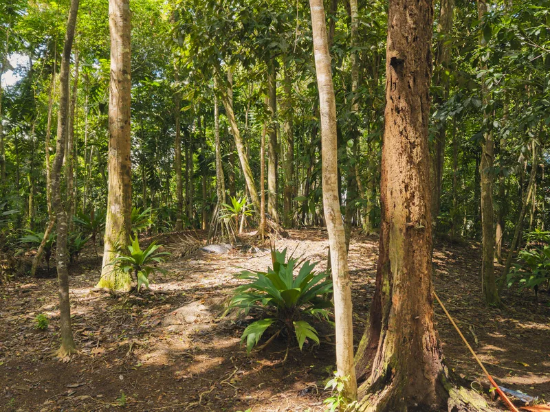 Land For Sale in Uvita, photo 14