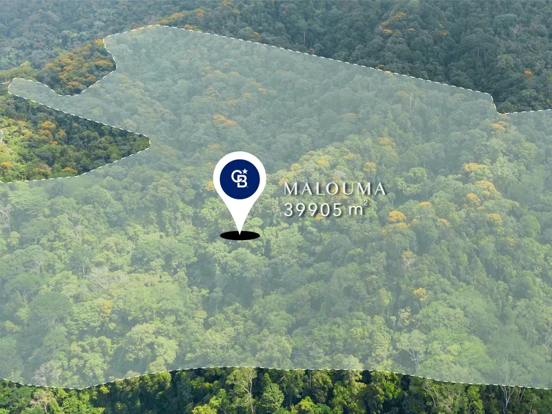 Land For Sale in Uvita, photo 3