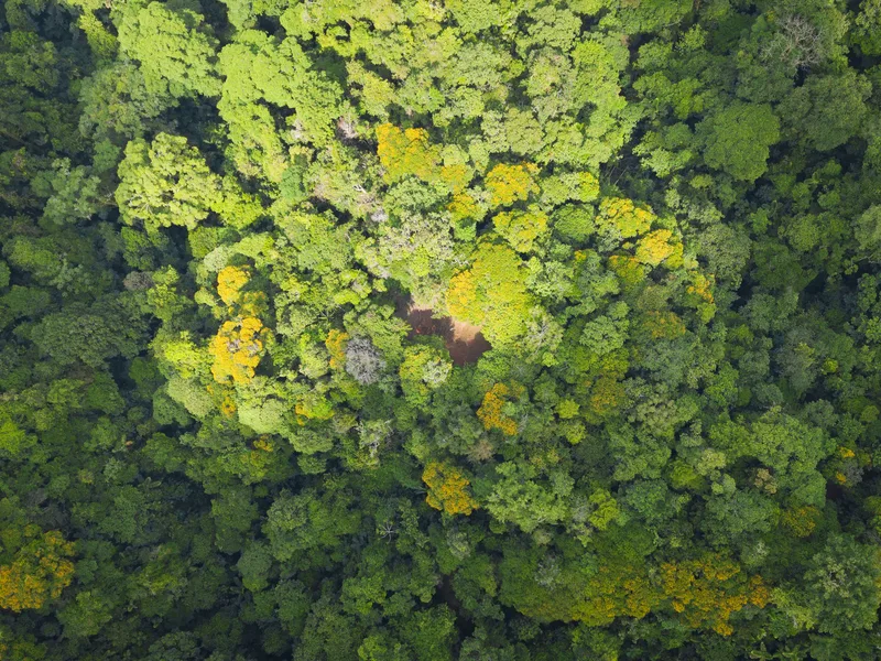 Land For Sale in Uvita, photo 9
