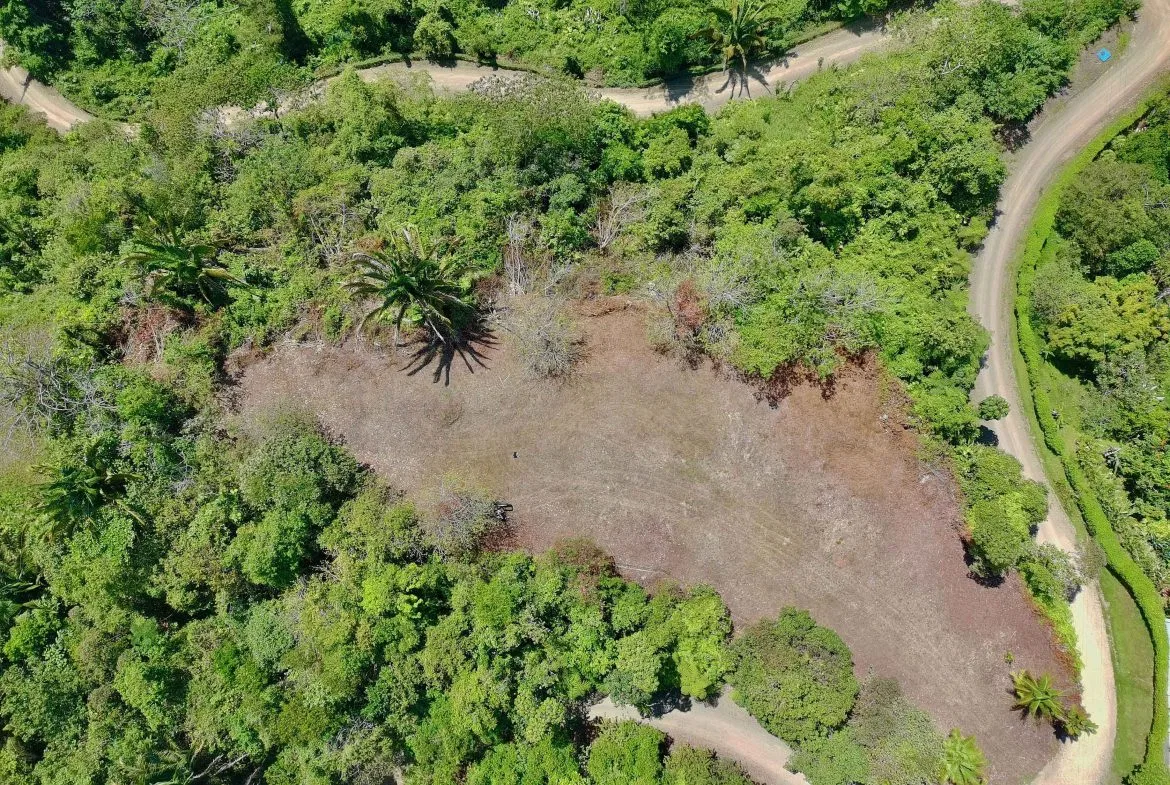 San Buenas Ocean View Estate Lot – 2.5 Acres, photo 2